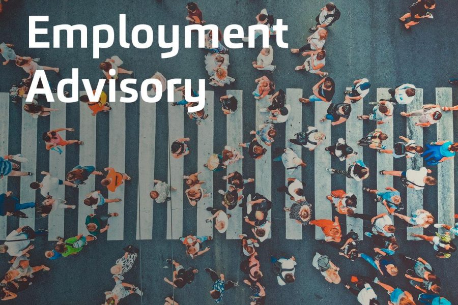 employment-advisory